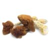 Golden teacher mushrooms
